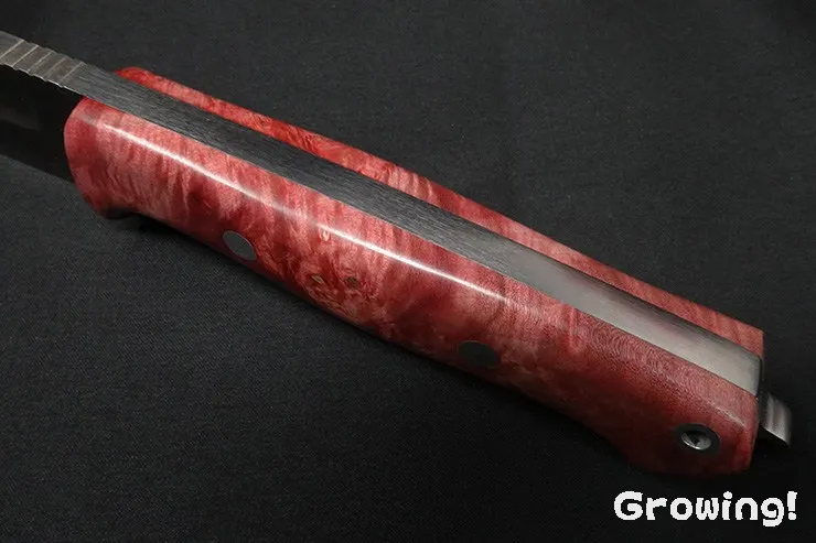 Barkriver  Squad Leader II 