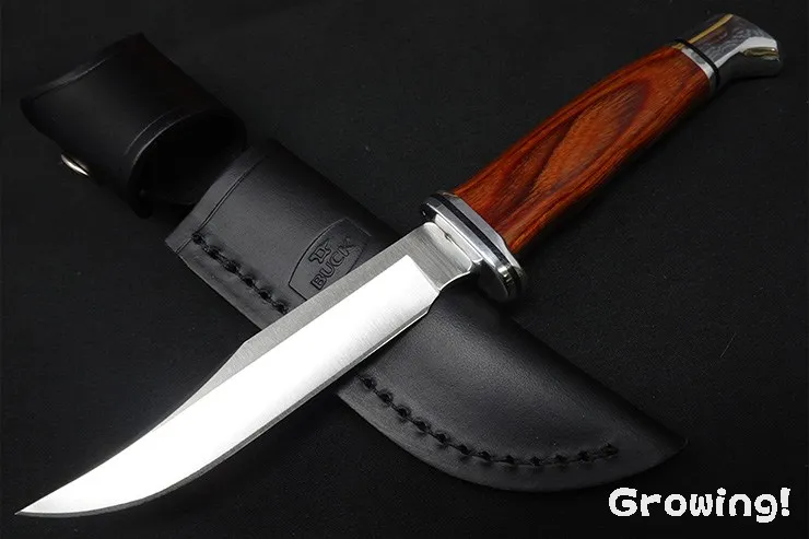 BUCK Woodsman BU102CCS1