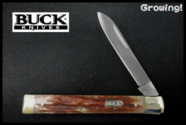 BUCK Doctors Knife