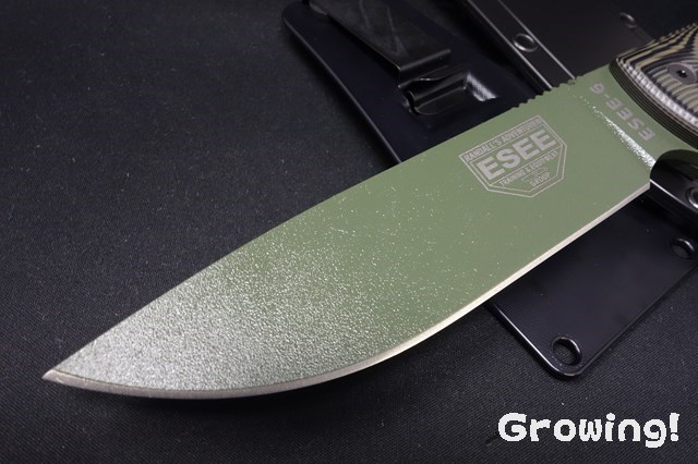 ESEE Model 6 Fixed