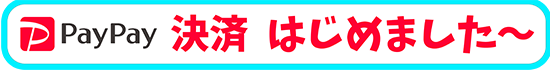 paypay始めました