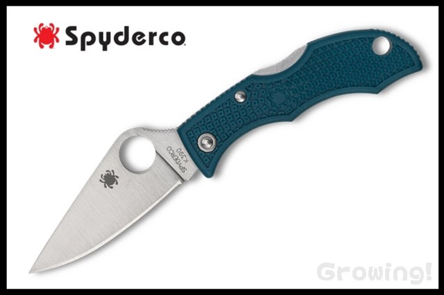 Spyderco LADYBUG 3 K390