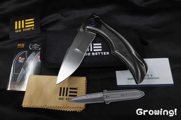 WE KNIFE Brian Tighe