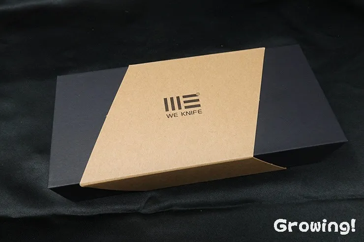 WE KNIFE WE240873 Skynix