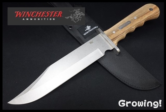 WINCHESTER Double Barrel Bowie