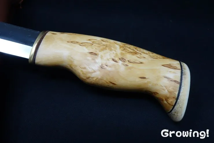 Wood Jewel Bearleuku Fixed Blade